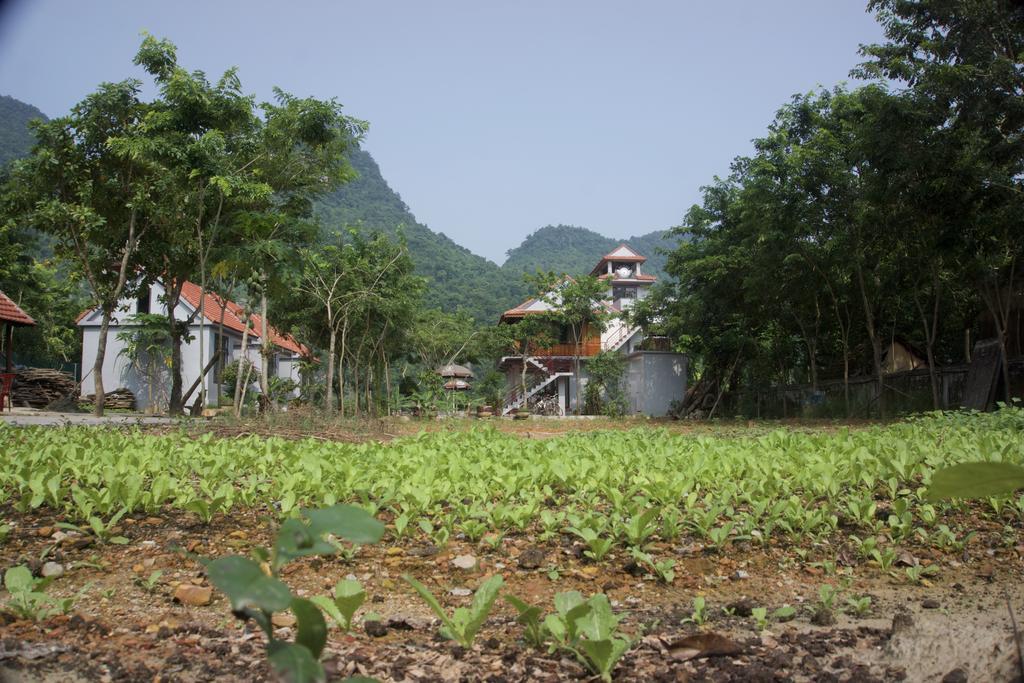Ho Khanh'S Homestay فونغ نها المظهر الخارجي الصورة
